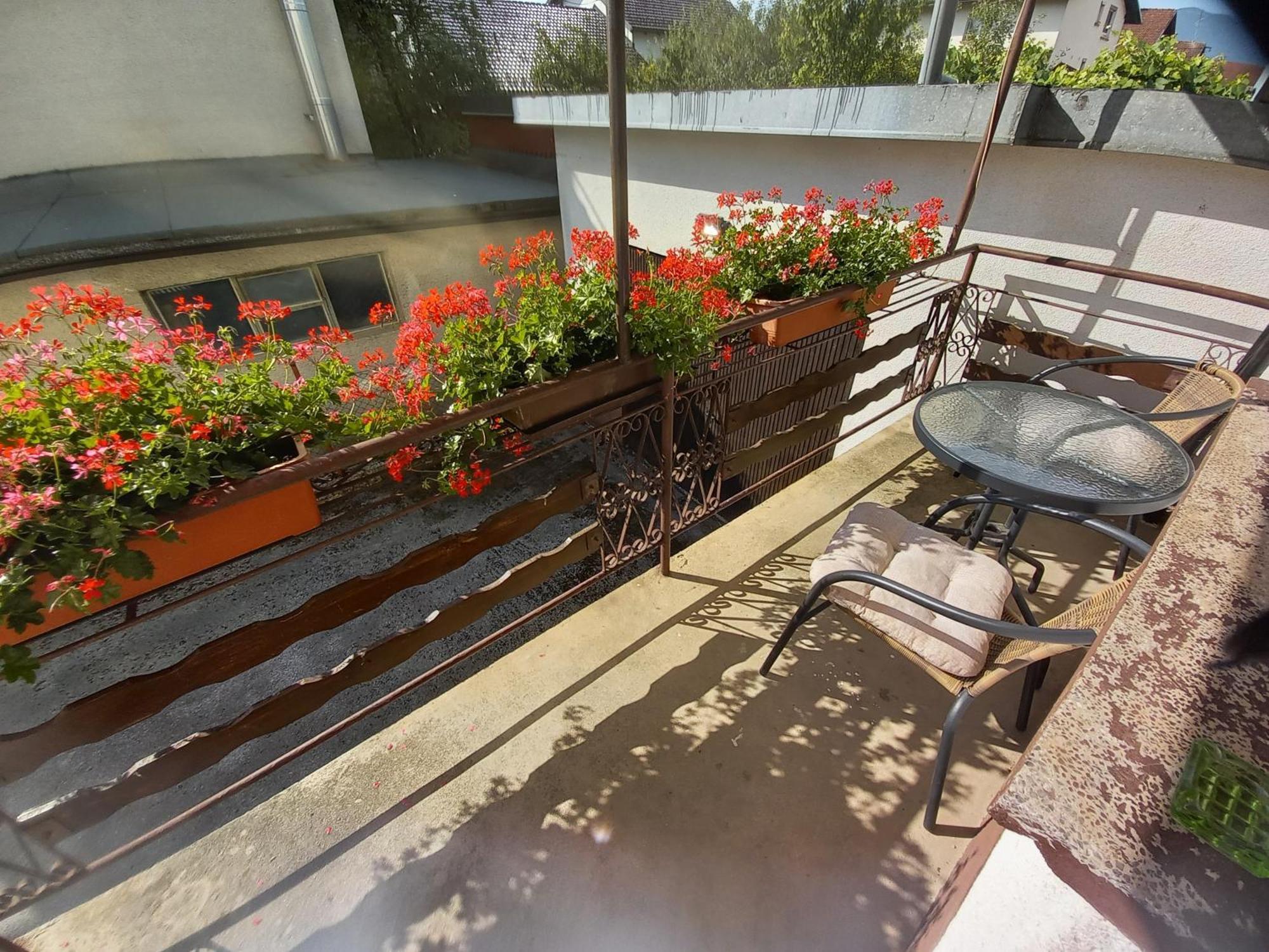 Rooms Apartma 采尔克尼察 外观 照片