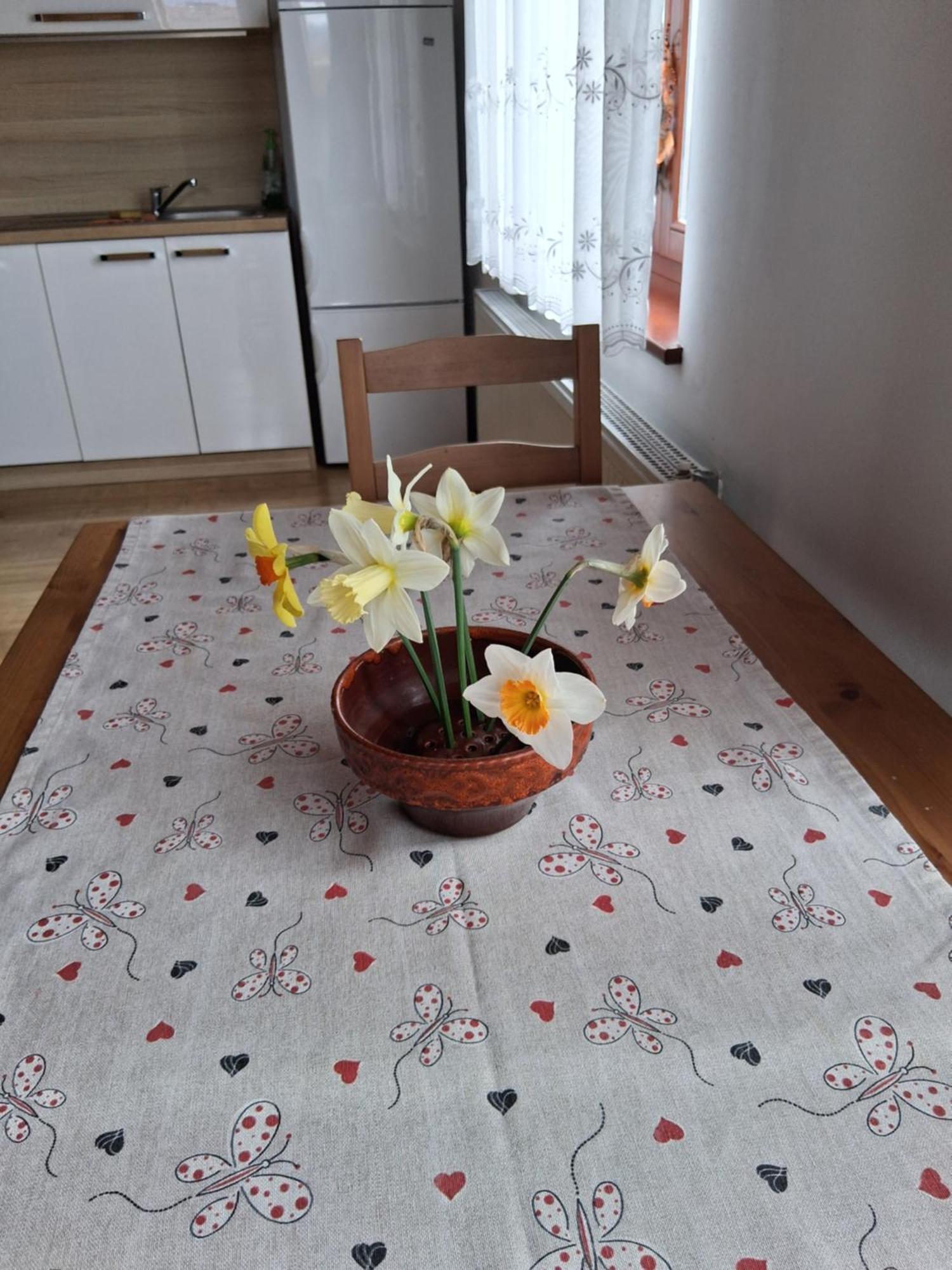 Rooms Apartma 采尔克尼察 外观 照片